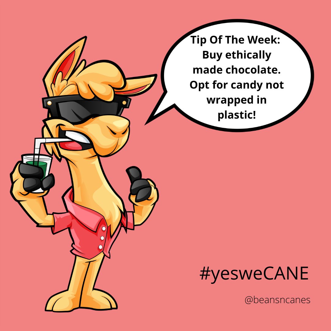 beans n canes tweet media