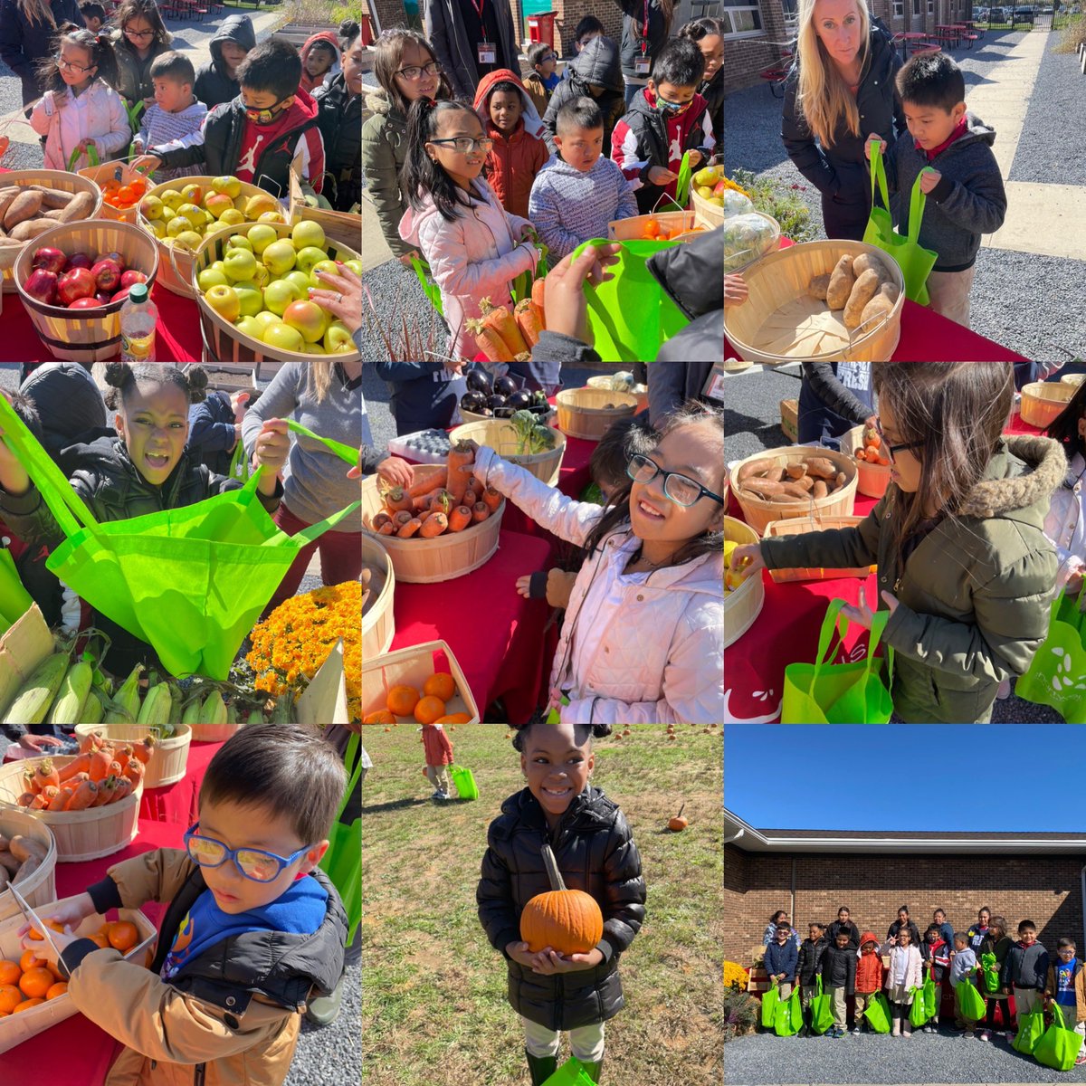 StephBurd309 tweet media