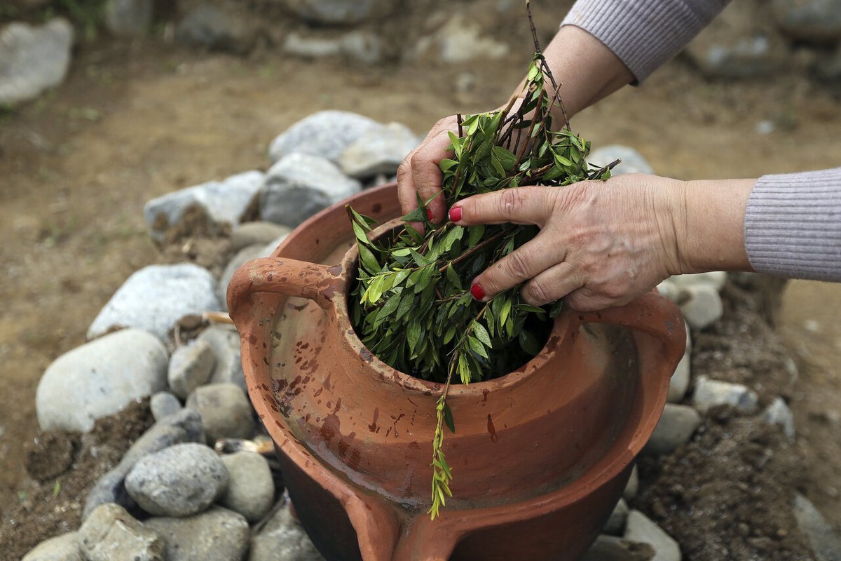 Ancient sources cite traditional Cypriot essential oils used in aromatics as: pine & cedar, cinnamon, laurel, myrtle, anise & bergamot. The historians were able to pin down that there were 12 aromatic substances (extracts) used by ancient Cypriots to make perfumes 4000 years ago.