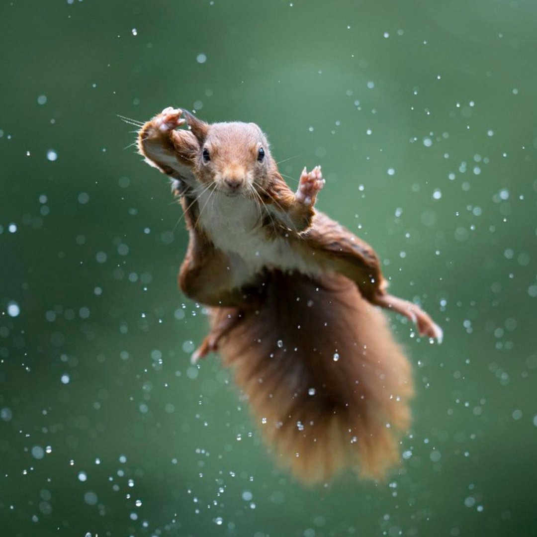 filonewsOK's tweet photo. 🤩 Estas son las fotos más graciosas de la naturaleza 🌿 https://t.co/Nifch3BmmH