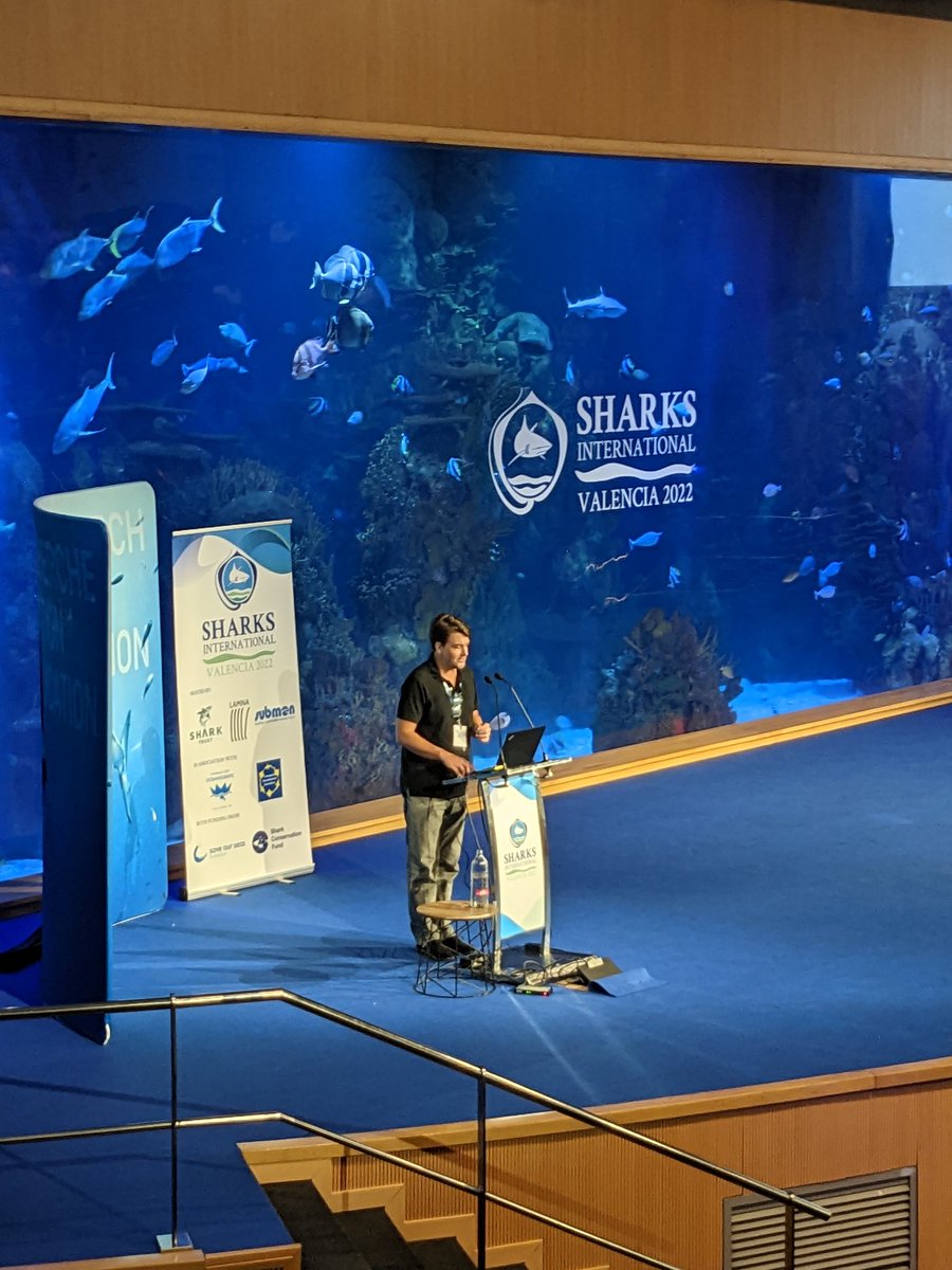 Demian Chapman finished up the first day of talks at #SharksInternational2022 talking about efforts to trace CITES-listed species in the Hong Kong Fin market. With a 🦈 in the background!