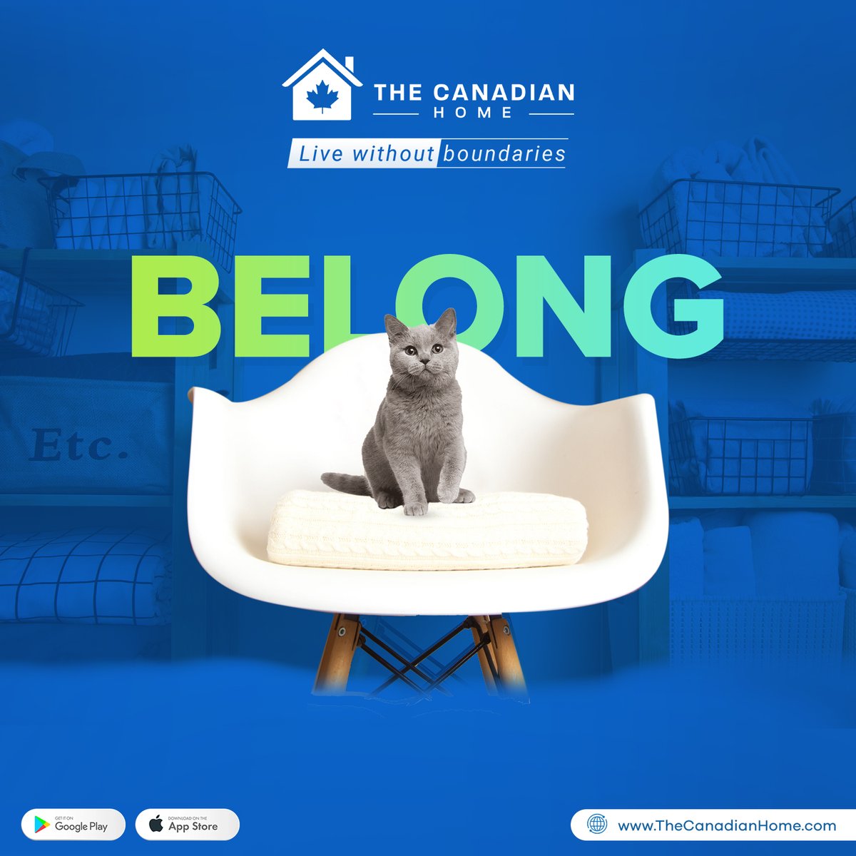 TheCanadianHom1's tweet photo. Are the walls not placed correct for your dog to move around or the windows too high for your kid to look out?
Find the home made for you only on The Canadian Home App.
Download the app.
https://t.co/sRQylf2c0g
#Thecanadianhome #Canada #homebuyers #LiveWithOutBoundaries https://t.co/LmRVvE4miN