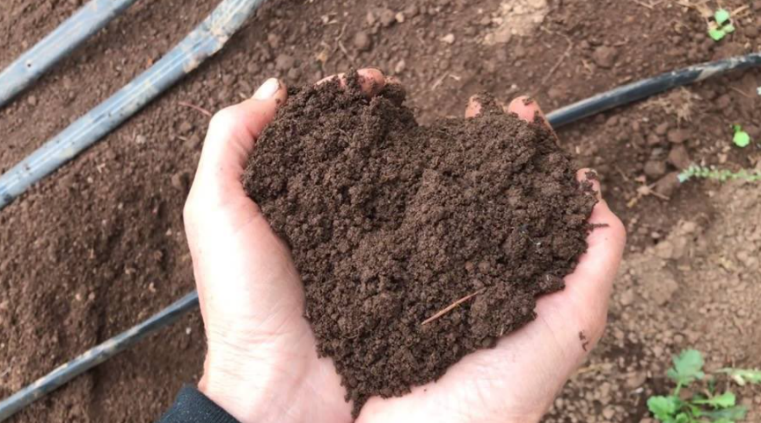 "Every decision that I have to make as a farm owner and manager here on this farm is, how do I serve the soil best first." bit.ly/2Ym7MME #soilhealth