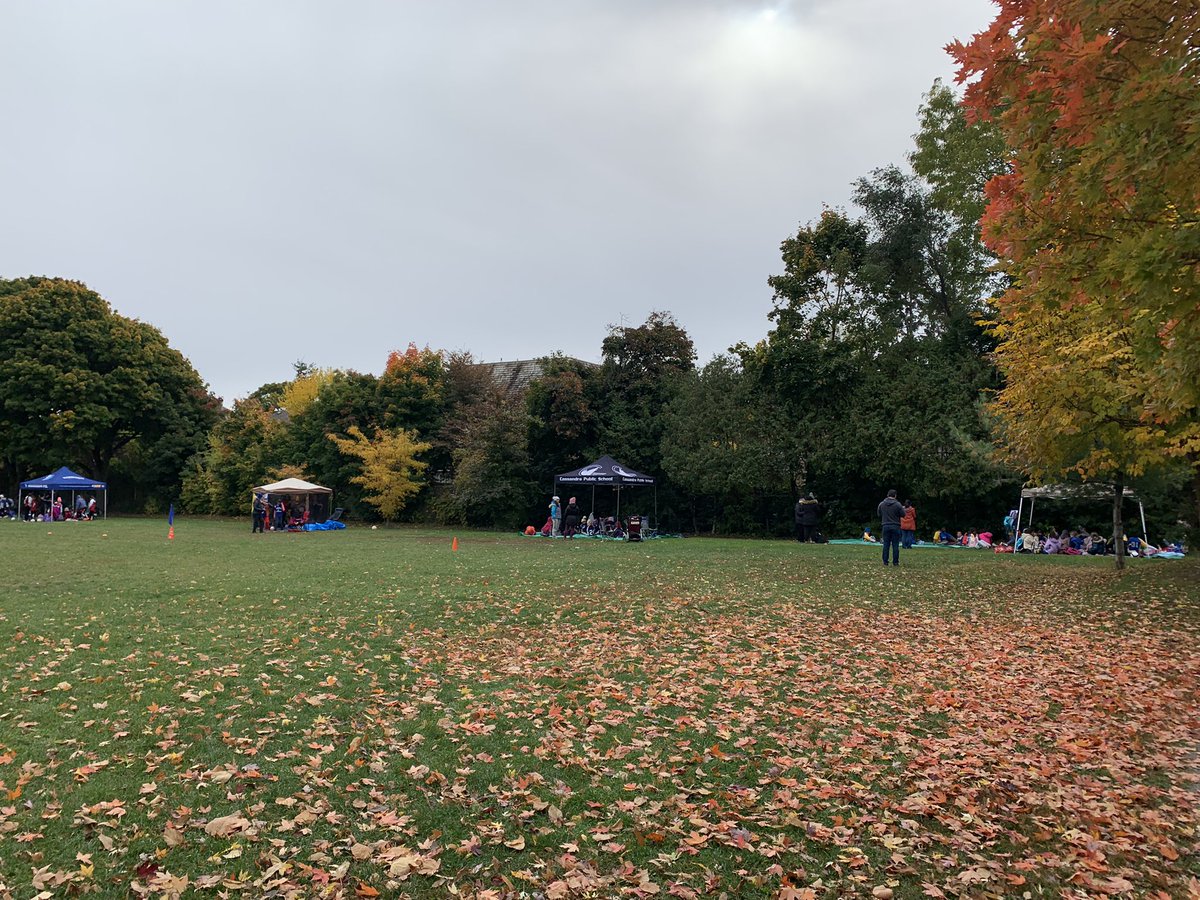 Harrisontdsb's tweet photo. Girls #bordenball #tournament @Harrisontdsb today! Welcome all participating @TDESAA_TDSB schools! Go teams! @tdsb 📣👏👏 https://t.co/TYkgiAnNtS