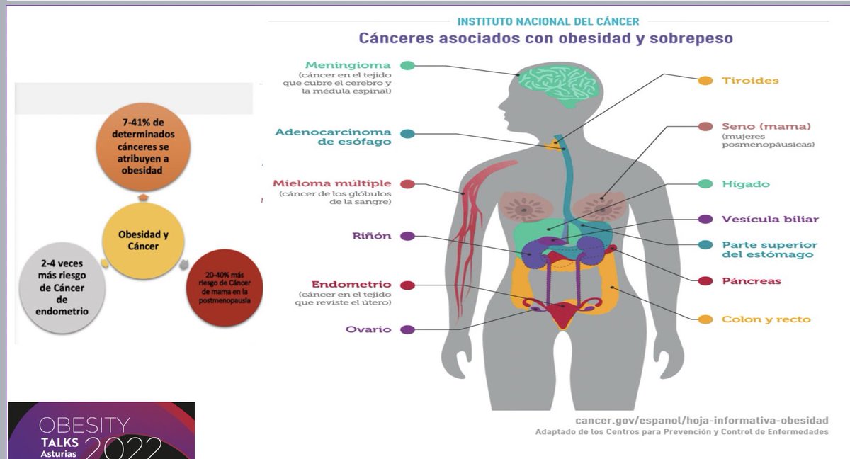 ana_apiecar's tweet photo. @NovoNordiskES @EliasDelgado_ @SADENO_ @mdballesteros @MariaRiestra_1 @fdezmorera @HUCA_Asturias @endohuca @endo_ispa @CristobMorales @SociedadSeedo @SEMERGENap @semergenast @sanidadgob @vic_pallares @Aromerosecin @Mitotatu @primastcar @Medtorek @RodrigoAbad1917 @AntonioSEMERGEN @flopezsim @irenecabmat @SemergenGTDM @albertlecube @DiegoBellido2 @mdballesteros y yo hemos querido mostrar que tenemos múltiples oportunidades de acción y de apoyo a las personas con #Obesidad y debemos aprovecharlas todas ellas para intentar cambiar el rumbo de sus vidas y de los que conviven con ellas▶️#StopInercia🛑
#ObesityTalks @SADENO_ https://t.co/fOdjVONJ7i