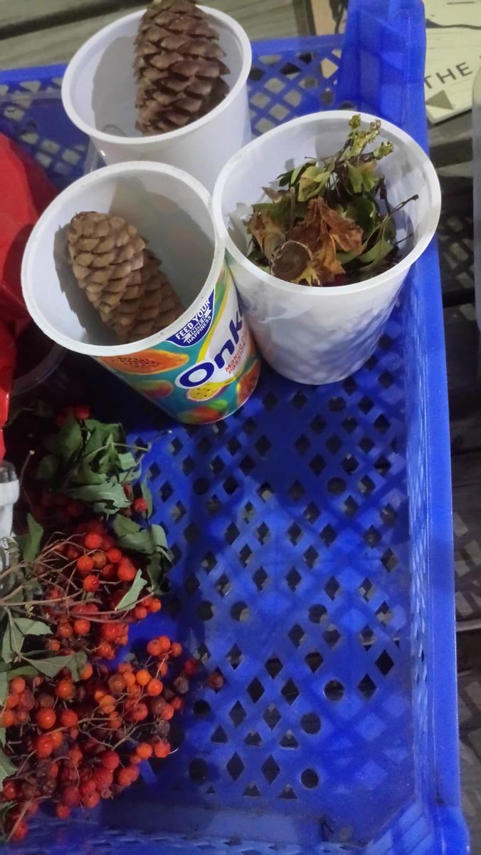 SuffolkTrees's tweet image. #TreeWardens at work in #Suffolk