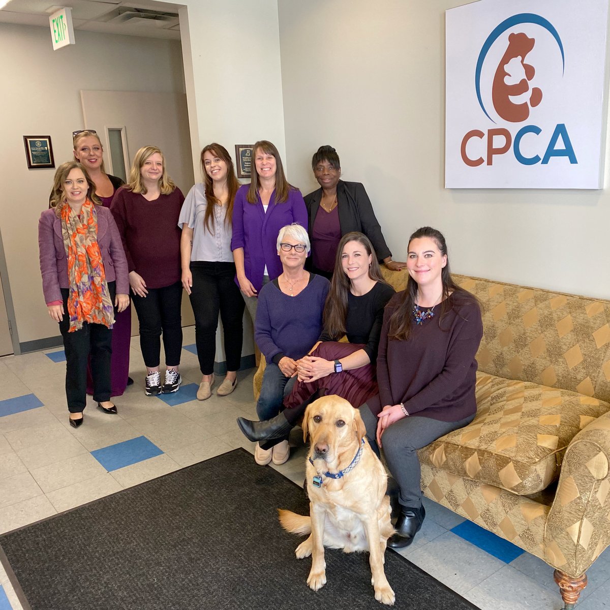 1 in 15 children are exposed to intimate partner violence each year in the U.S., and 90% of those children are witnesses to that violence. Today, the CPCA wears purple💜 to raise awareness and to show our support to all those affected by DV. #PurpleThursday #Every1KnowsSome1