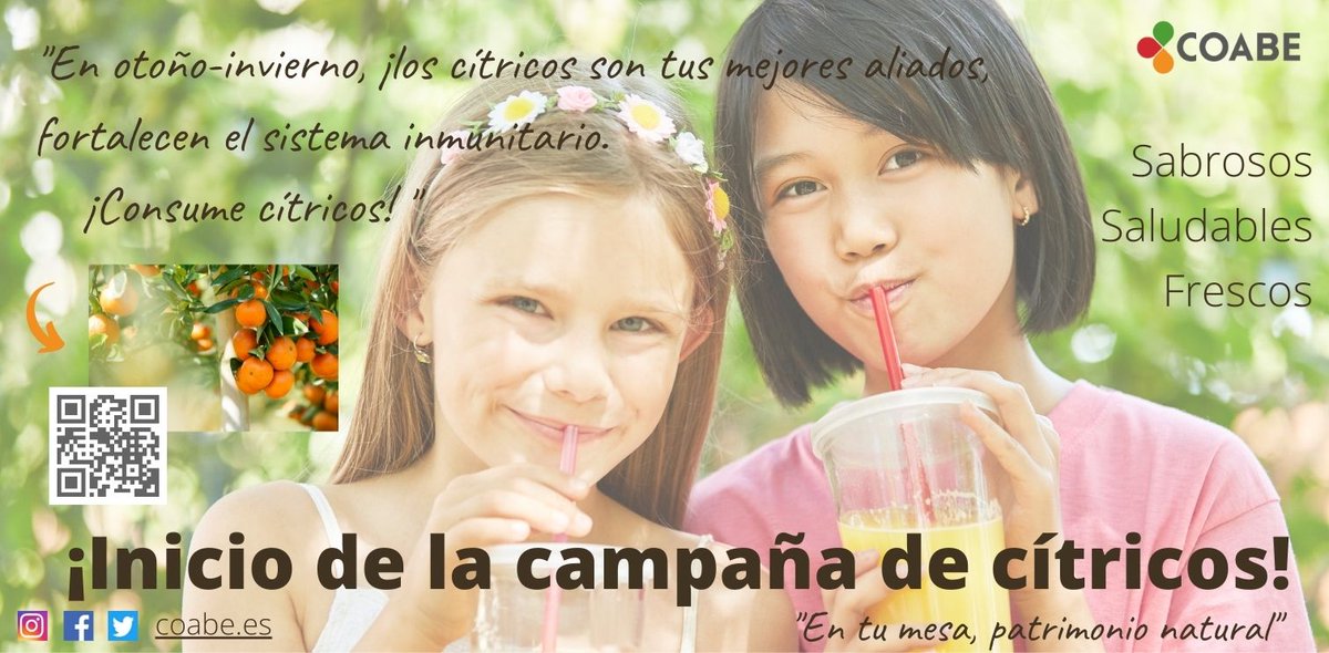 coabecoopv's tweet photo. 🍊¡COABE inicia su campaña de cítricos!
🍁❄️¡Consume mandarinas y naranjas!
🔗Visita nuestra página web: https://t.co/2SCyIO2QKR
🏡Compra en la tienda online: https://t.co/eZdkDFSRSH
👜Compra en la tienda física: https://t.co/nw4LApys46 
☝️“En tu mesa, patrimonio natural” https://t.co/PXiooPmI7o