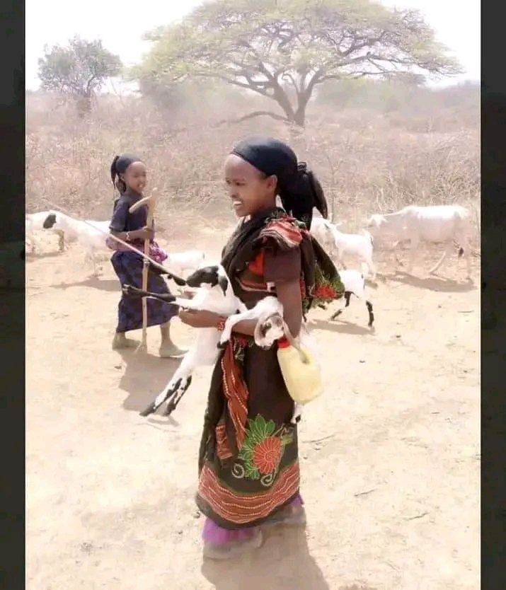 ShalomJatani's tweet photo. #Pastoralist #Borana #East_Africa
#Responsibility
#Struggle
They need #School #Health_Center #Road ... #infrastructure
But, marginalized! Why?
#Pastoralists_liver_matter
#Climate_change_is_real!
@UNA_Ethiopia
@UNICEFEthiopia
@PMEthiopia
@UNESCO https://t.co/wo5K20zpMo