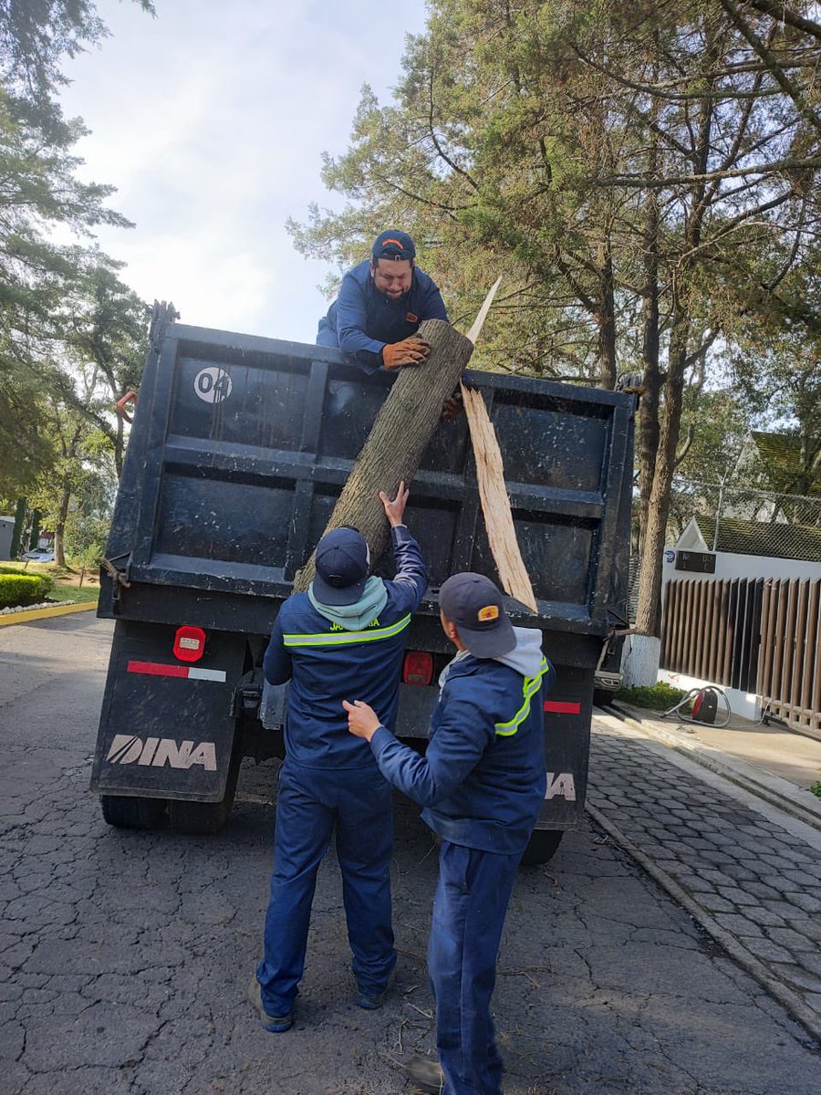 Ac_Sayavedra's tweet photo. Personal de mantenimiento trabaja día con día para conservar la imagen de #CondadodeSayavedra https://t.co/PGF57gREqD