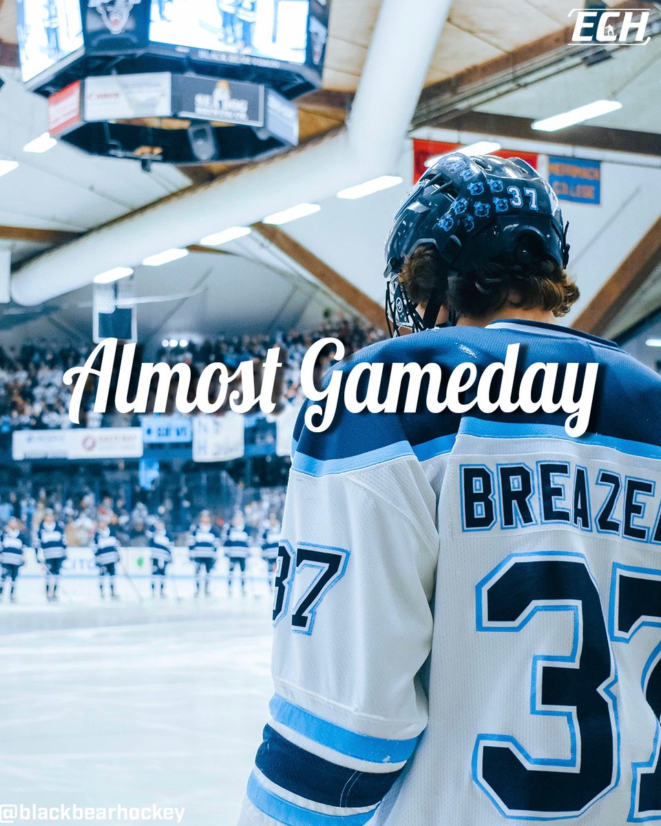 EVERYTHING COLLEGE HOCKEY tweet media