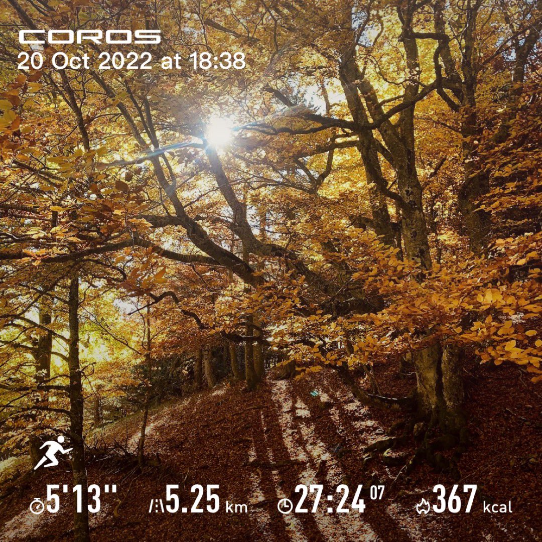 nowhereryan's tweet photo. 오늘도 달림. 5k 26:05, 케이던스 181. 어제 잠을 피곤하게 자서 오늘 내내 찌뿌둥 했는데, 날씨마저 흐려서 어두워지기 전에 달리느라 스트레칭도 안하고 뛰었더니 몸이 무거웠다. 느껴지는 심박 대비 호흡이 더 가빴고, 살갗에 닿는 공기는 차가운데 땀은 평소보다 많이 났던 다소 낯선 기분의 러닝. https://t.co/PeSyQAstbl