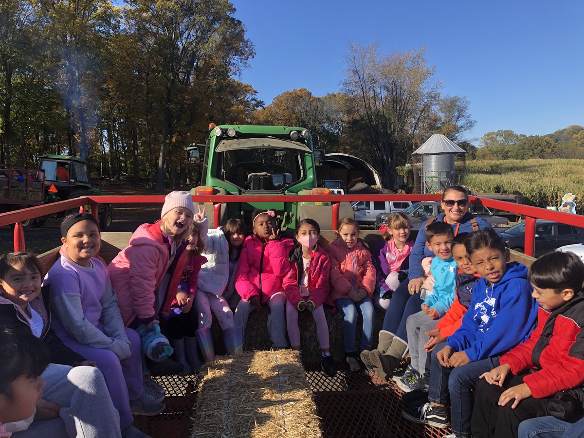 Marbrook Immersion tweet media