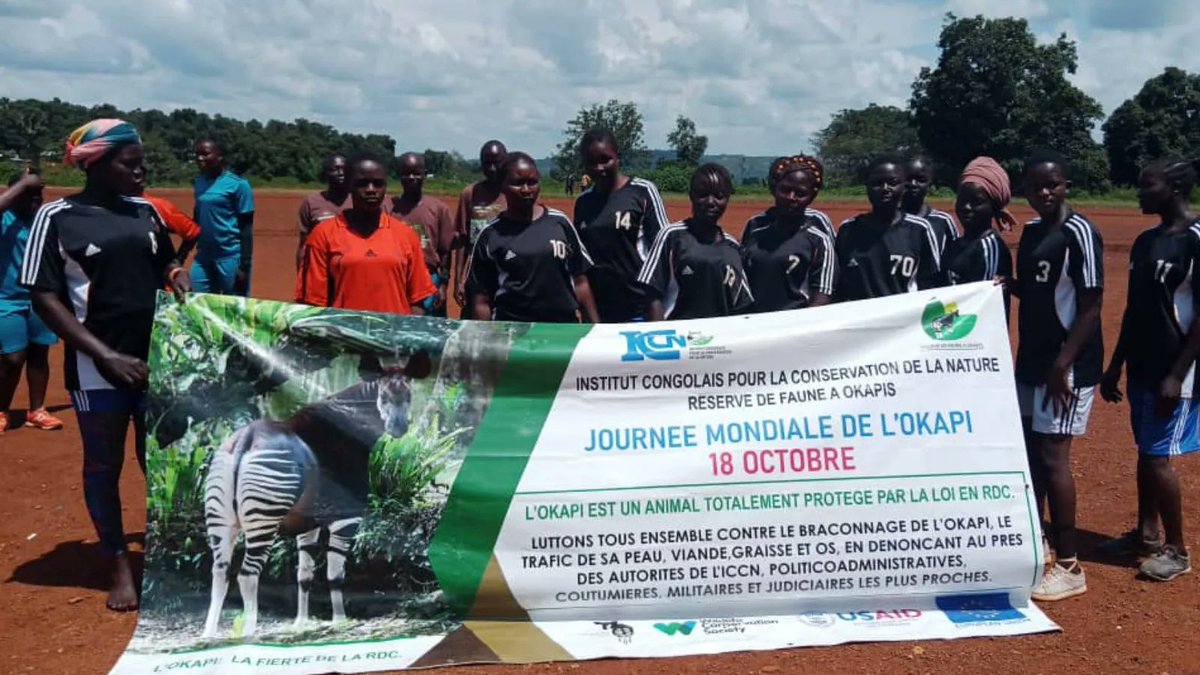 Thank you for joining us in celebrating another year of World Okapi Day and the people who protect them! Activities across the Reserve included parades, soccer games, traditional dancing and educational presentations on current conservation efforts.  🌿