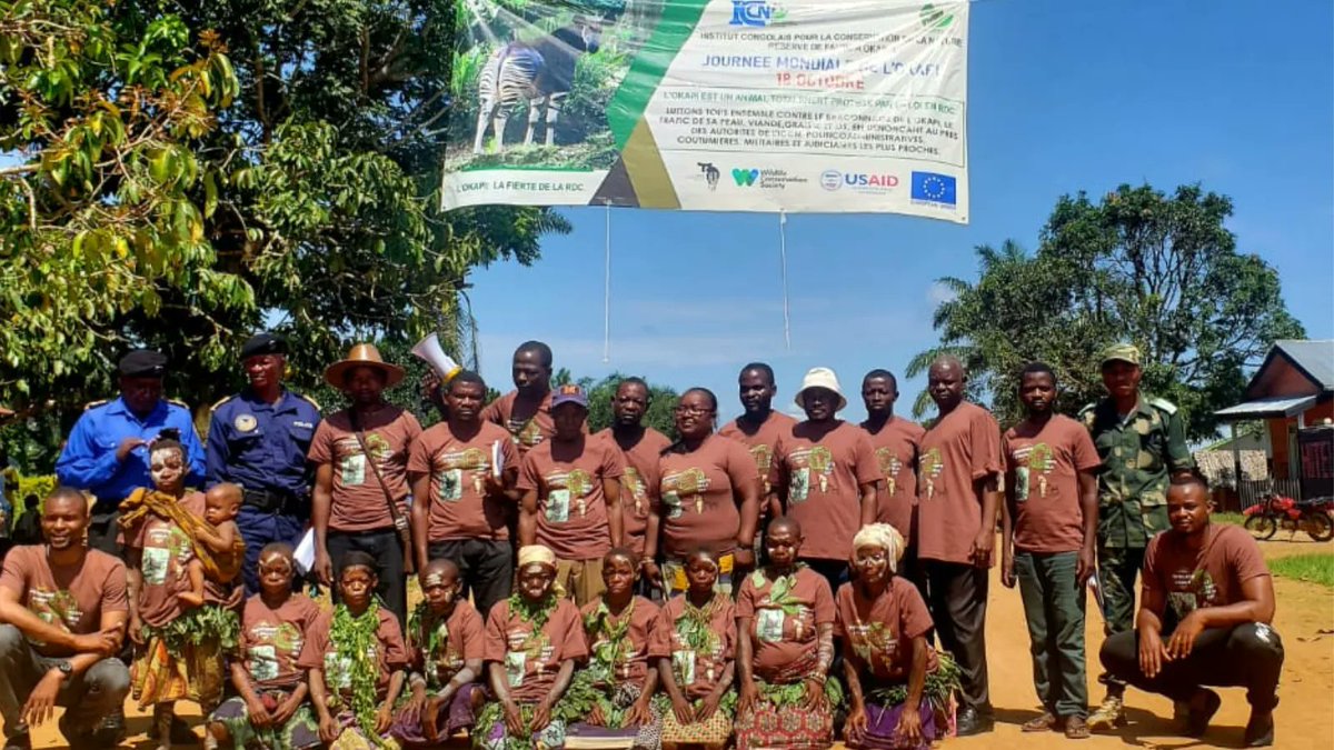 Okapi Conservation tweet media