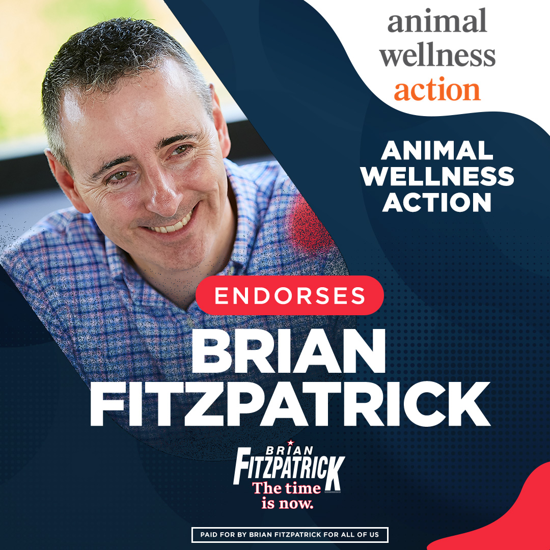 🚨ENDORSEMENT ALERT🚨 “Congressman Fitzpatrick is arguably the leading animal welfare advocate in the House, as lead author of multiple bills for animals and a fighter for the cause of halting animal cruelty.” @AWAction_News #OneCommunity #ForAllOfUs bit.ly/3MRoxEI