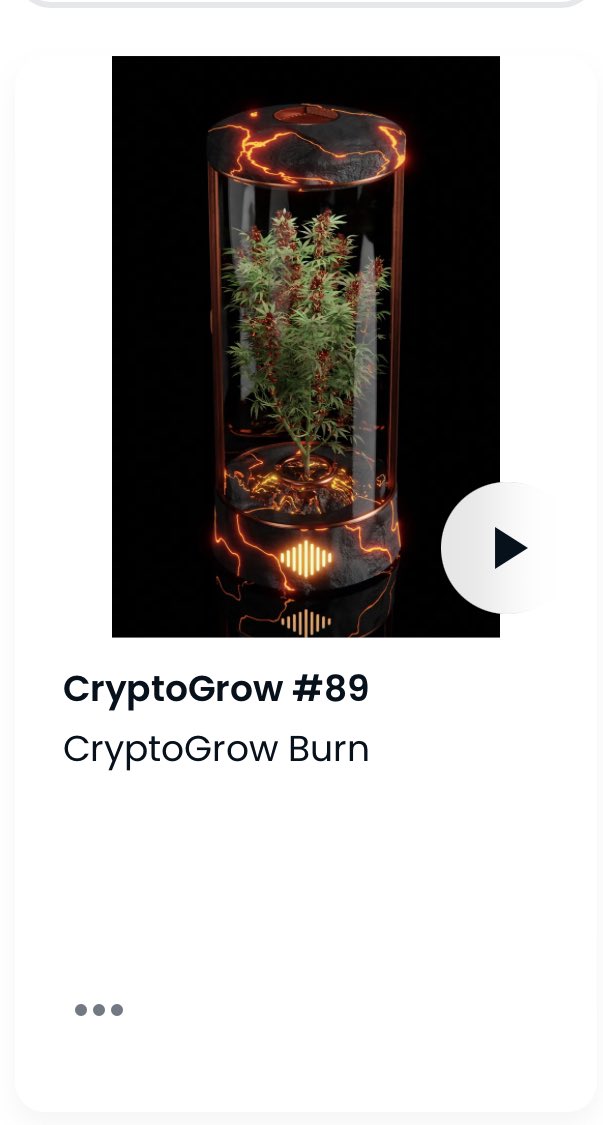 #TGOD PEDROBEAR97 tweet media