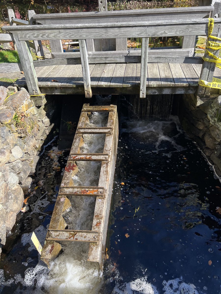 H2O_Soni's tweet photo. My Water Resources Grand Challenge class field trip to the #GilbertStuart Museum, RI to learn abt snuff mill, an operating gristmill, fish ladder, millpond, undershot wheel & many more! #hydrology #dams #fishladder
#PradhanangLab #sluicegate @universityofri @URI_GEO @uricels https://t.co/CCsawscpG8