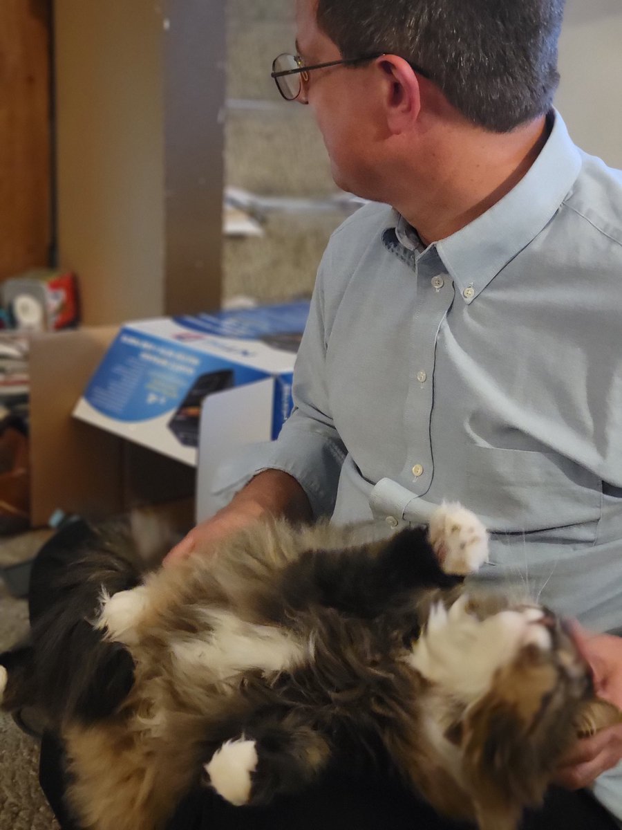 EGOTKittens tweet media