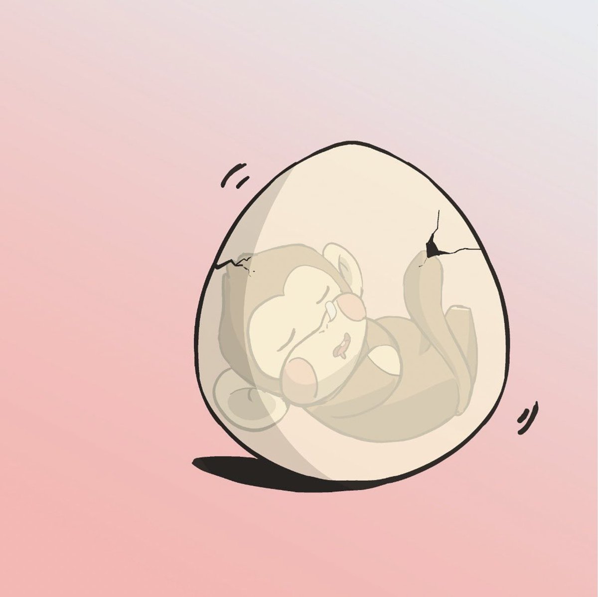 Chonky Kongs (@chonkykongs) on Twitter photo 