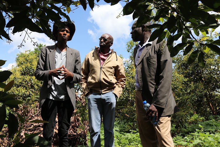 GFarmke's tweet photo. An orchard visit by the farmers,a bench marking talk on issues affecting our avocado value chain from pests, diseases,marketing,exploitation by middlemen,how to increase our fruit sizes among many other challenges discussed at length.
@KenyaAvocados https://t.co/Q4Tx2fCdlr