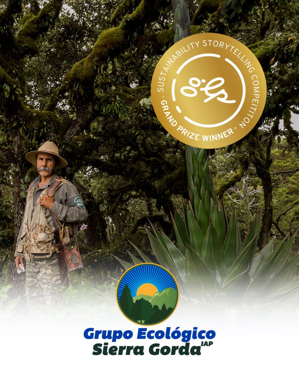 GLP Films tweet media