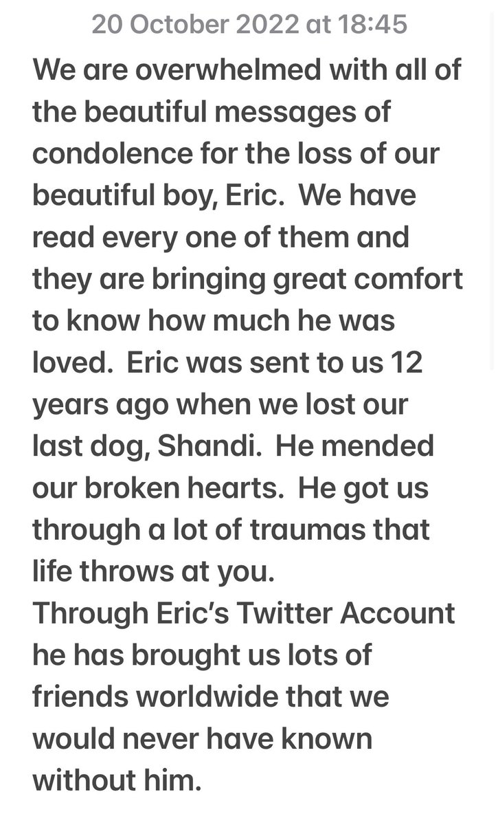 Dillon & Dougal & Angel Eric Da Dog 🌈🐾 tweet media