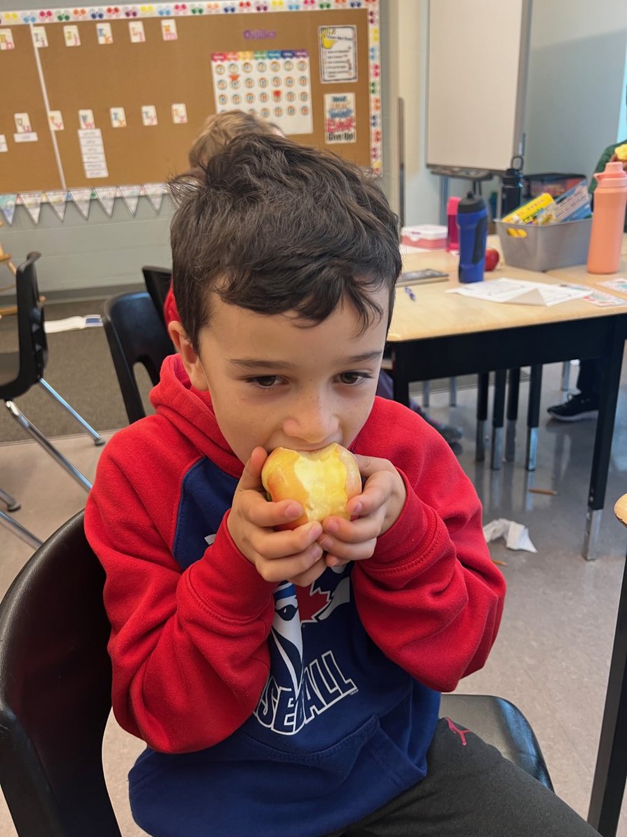 DrDSuzukiSchool's tweet photo. Today, Suzuki celebrates healthy eating by participating in the “Great Big Crunch”. @osnpsouthwest @mrszaccsclass #GreatBigCrunch https://t.co/sbesAmx6in