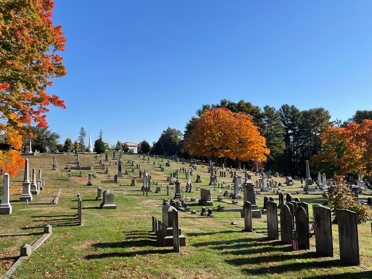#PitDark
#YA #NA
#GH #CSH #DF
Frances and Margaret are witches from rival houses in mid-1800s New England. Witness to a grave-robbing, their unique friendship is put to the test as they investigate the darker side of their little village of Wilbury.
Tom Sawyer x Call of Cthulhu