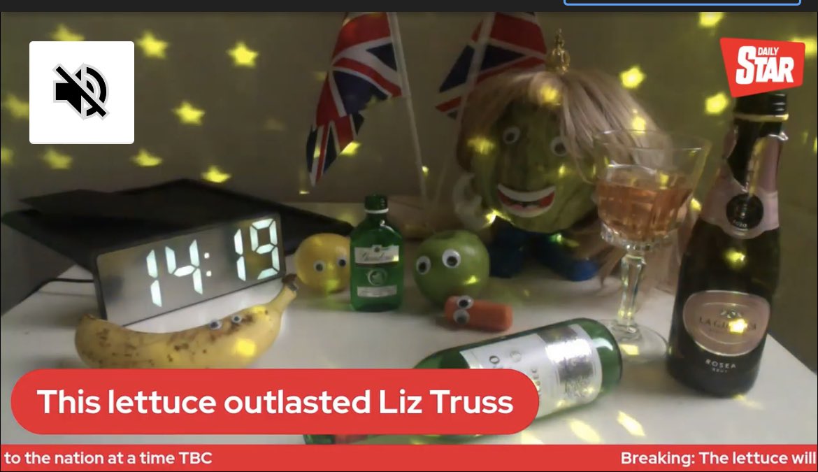 LynseyJWrites's tweet photo. UPDATE: the Daily Star lettuce is now having a party and some of its friends have turned up, including a banana https://t.co/w0Gh36BqzI