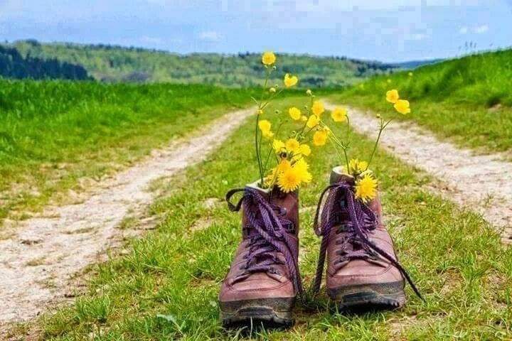 Alejarte de alguien con quien quieres estar pero que no te hace bien, es un acto de amor tota: de amor hacia ti ❤️. 
#frases #reflexiones #Psicologia 
isidroperezhidalgo.com