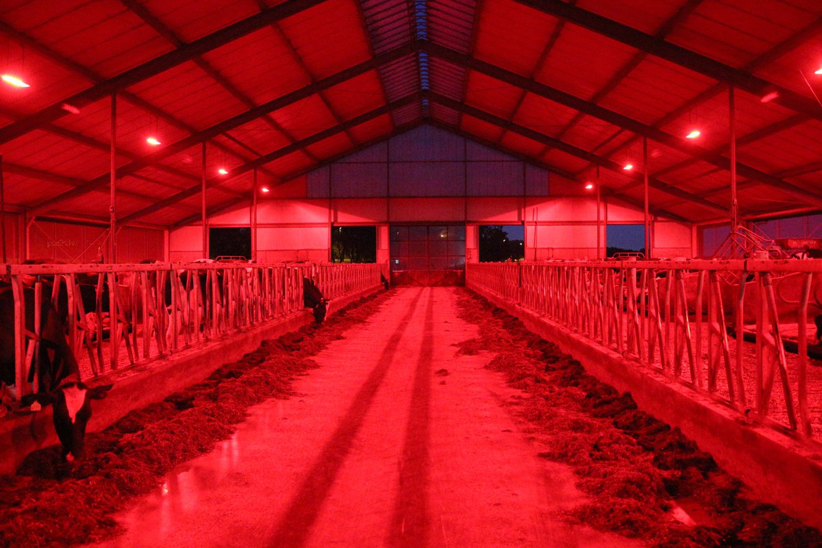 Agrilight B.V. tweet media