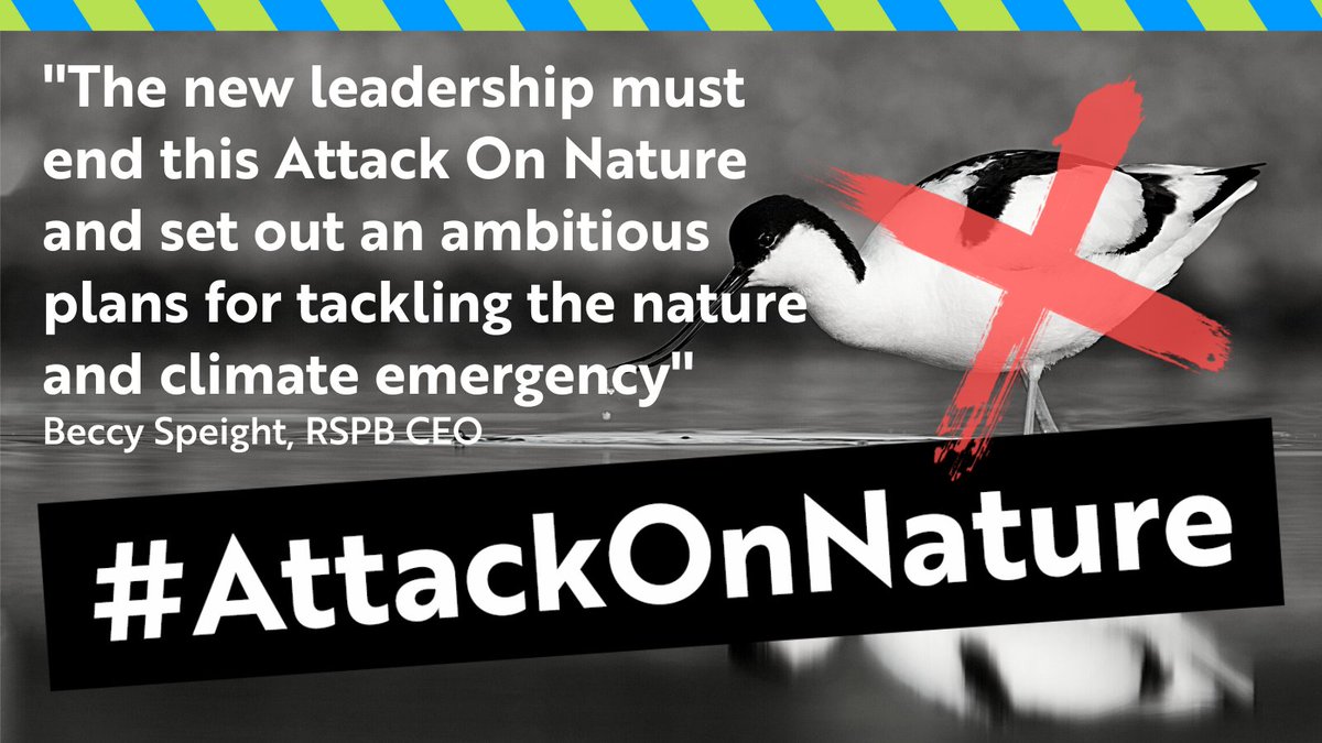 🚨RSPB reaction: @BeccyRSPB CEO says: 'With the UK Government in turmoil this is not the time to be pushing forward with destructive legislation that will remove wildlife protection. 'The Retained EU Law Bill needs to be stopped NOW'