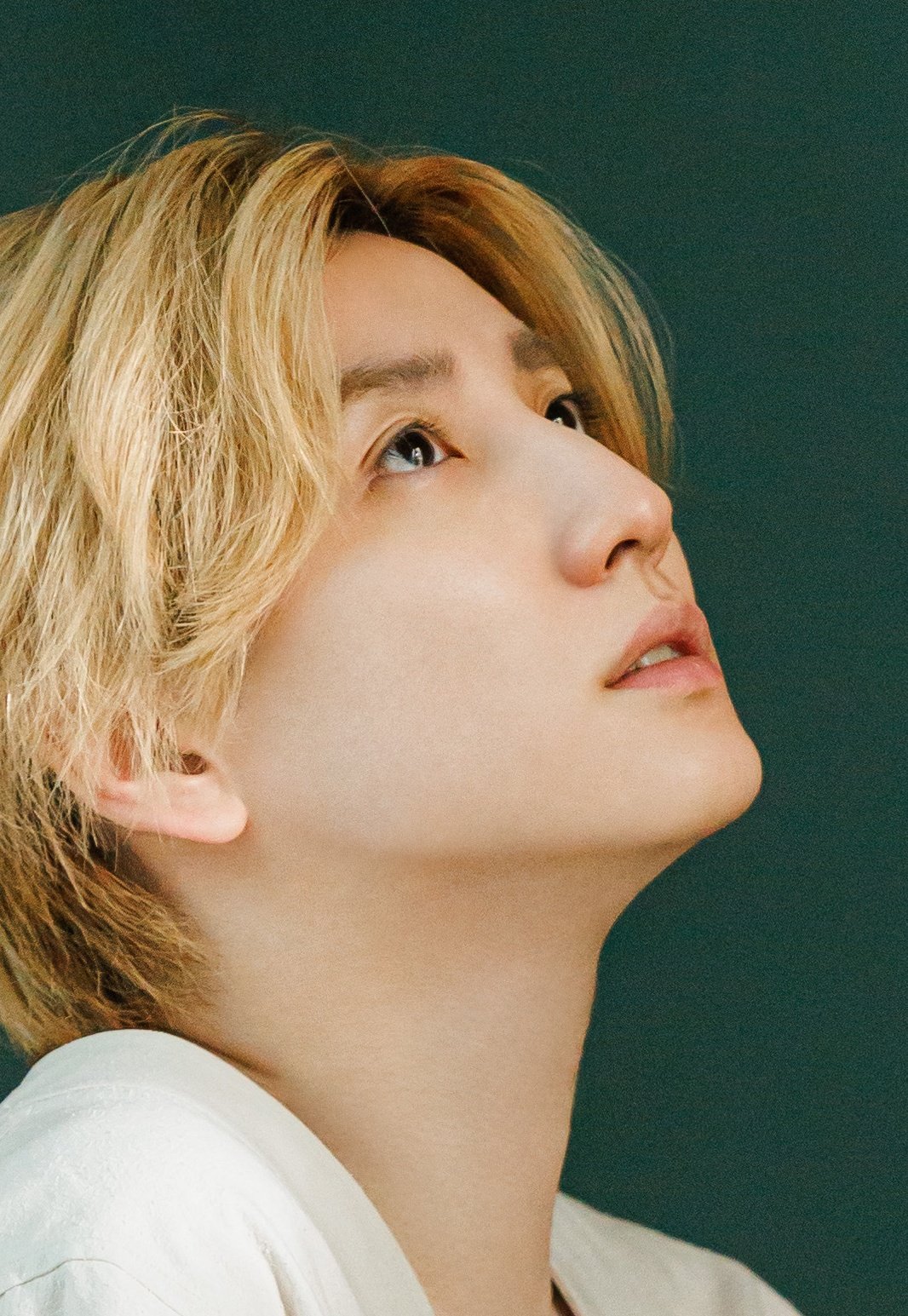 SixTONES 京本大我 公式写真 145枚ほど SixTONES 京本大我 公式写真 145枚ほど