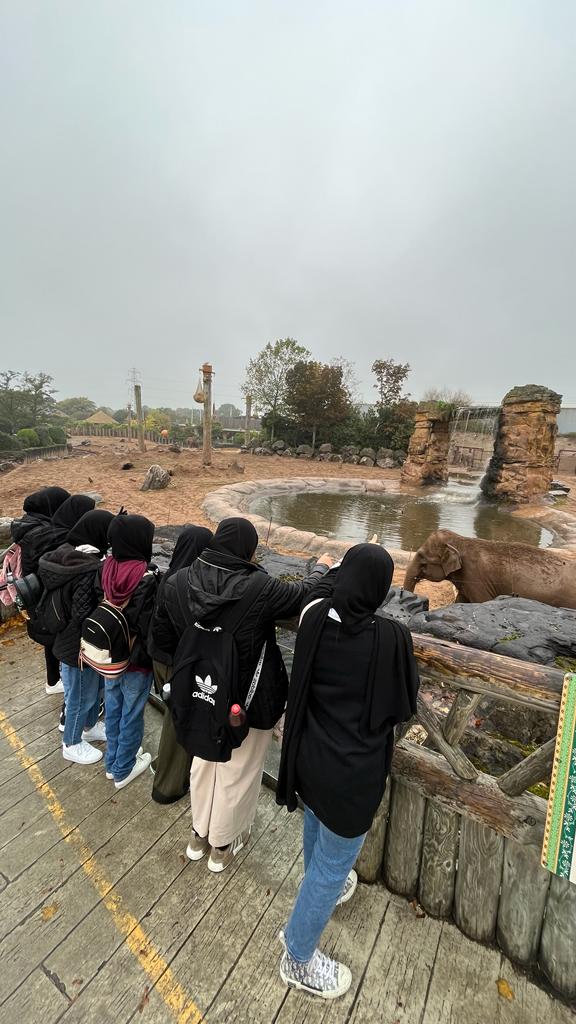 TauheedulGirls's tweet image. Y9 students @Tauheedulgirls having fun observing animal behaviour around Chester Zoo. #Wearestar #conservationworkshop