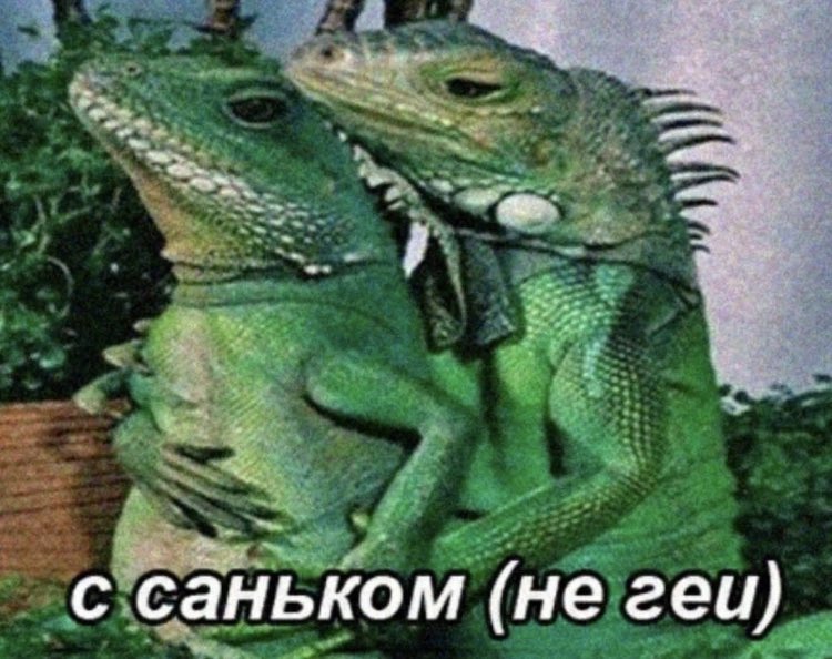 умоляю