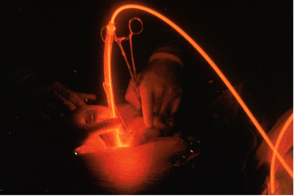 Biotecnología de microalgas marinas BIO-173 tweet media