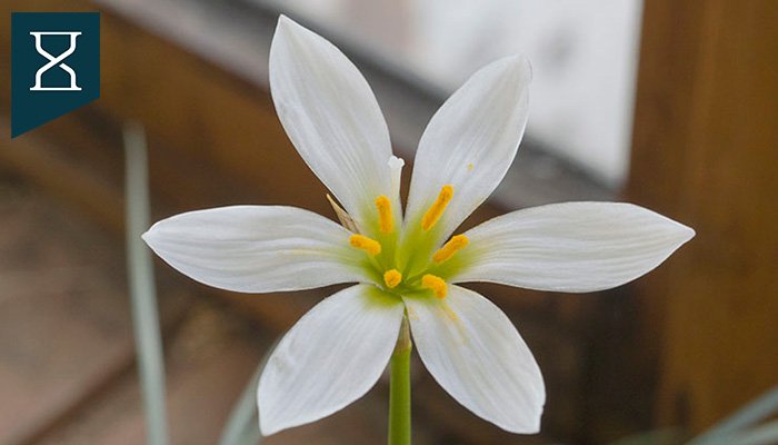 Los 7 cambios simples de #productividad que más han impactado mi vida son:
> Aprender que hacer no es sinónimo de avanzar
> Organizarme con un método, no "como salga"
> Usar bandejas de entrada
y 4 más que no me caben aquí en: iagofraga.com/cambios-transf…

#eficiencia