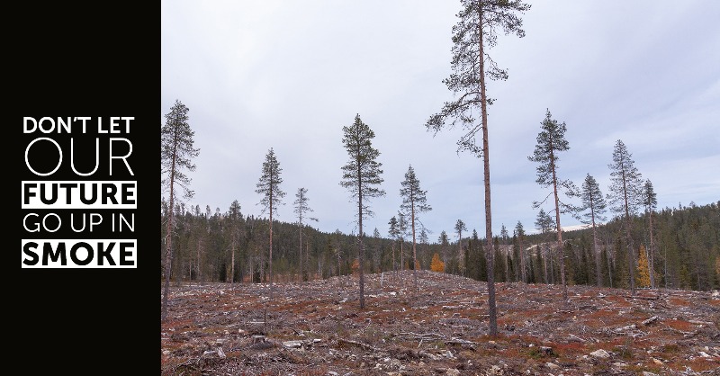 BirdLife Europe & Central Asia tweet media