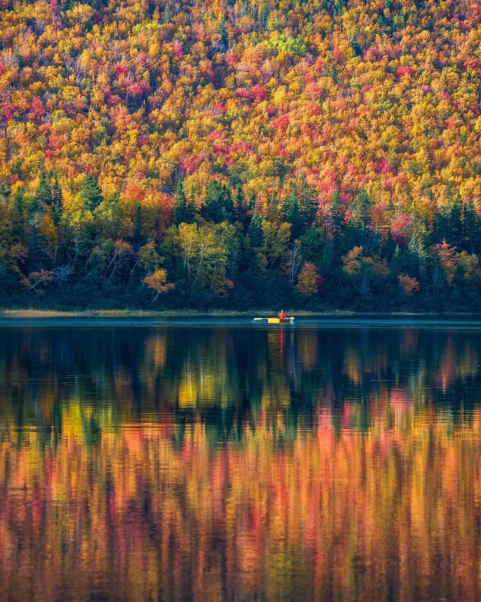 gord_follett's tweet photo. Look at the multitude of colours on the Humber River. The reflections were amazing. While shooting someone was on the river for an evening row. A serene place! #newfoundland https://t.co/ejxwyGDTZA
