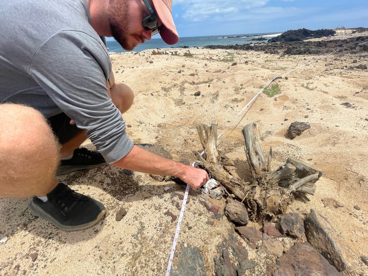 Whilst on #Ascension, alongside <a href="/AIGConservation/">Ascension Conservation</a>, we've been using the <a href="/DebrisTracker/">MarineDebrisTracker</a> app and #photoquadrat surveys to identify areas where plastic pollution is highest along the Ascension coastline.

We're just getting started but have already logged nearly 1,000 items!