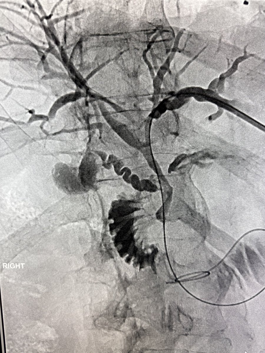 Austin Bourgeois tweet media