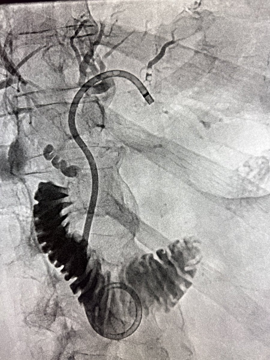 Austin Bourgeois tweet media