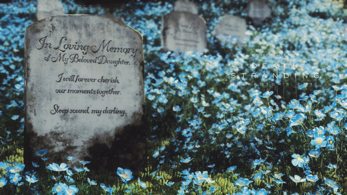 Ari 📷 tweet media