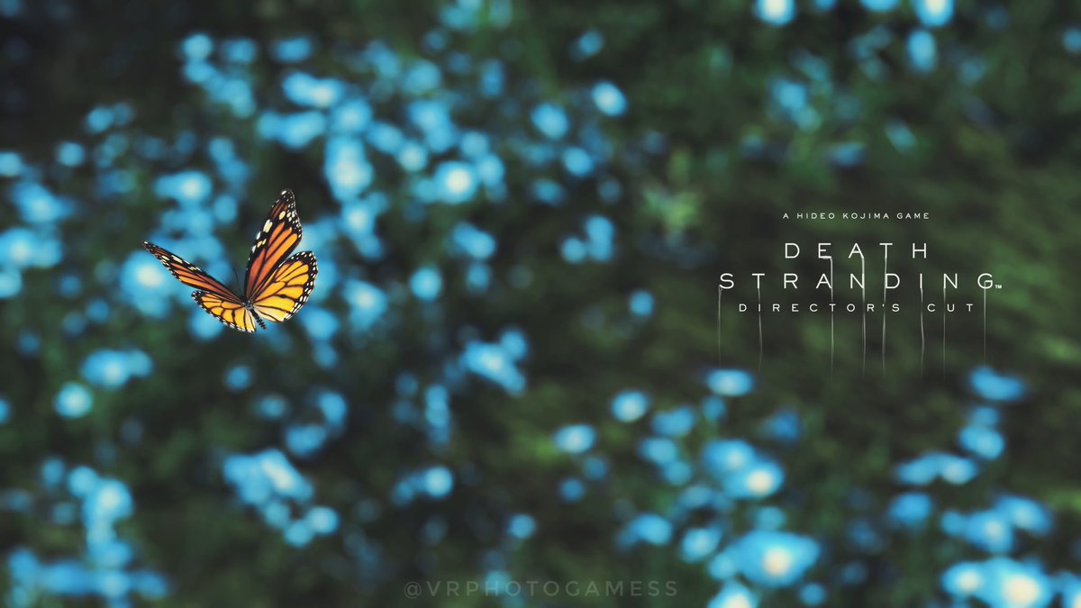 Ari 📷 tweet media