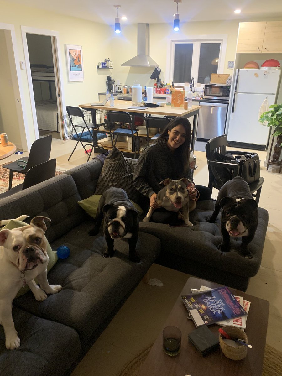 BreanaVandebeek's tweet photo. Had a great week running a murder prelim in Pembrook, Ontario, with my law partner @gorhamlaw, my superstar articling student @amyousseflaw and our furry firm members Gancho, Gucci, Frankie and Fendi. I’m lucky to have such a fun practice! https://t.co/6qja932rh1