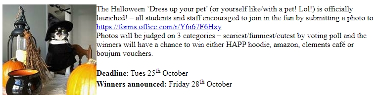 VGravey's tweet photo. Some very important news in @HAPPatQUB bulletin today... 🎃🐈⬛👻 https://t.co/gy5BXi0GeA
