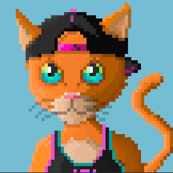 MasterCatsNFT's tweet photo. It’s a good morning to be a Master Cat 😻

Who’s excited for Life 2?👀

#NFT https://t.co/k0ZPUAwF1U