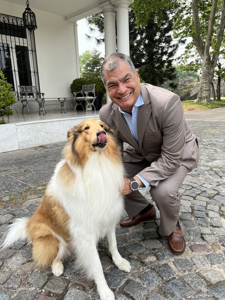 MashiRafael's tweet photo. …Y para que no duden de mi espíritu democrático, también mantuve una reunión con…😉
Me saludó con mucho cariño, pero al final me sacó la lengua. Trataremos de retomar las conversaciones…😄 https://t.co/Vc8ngyJx1u