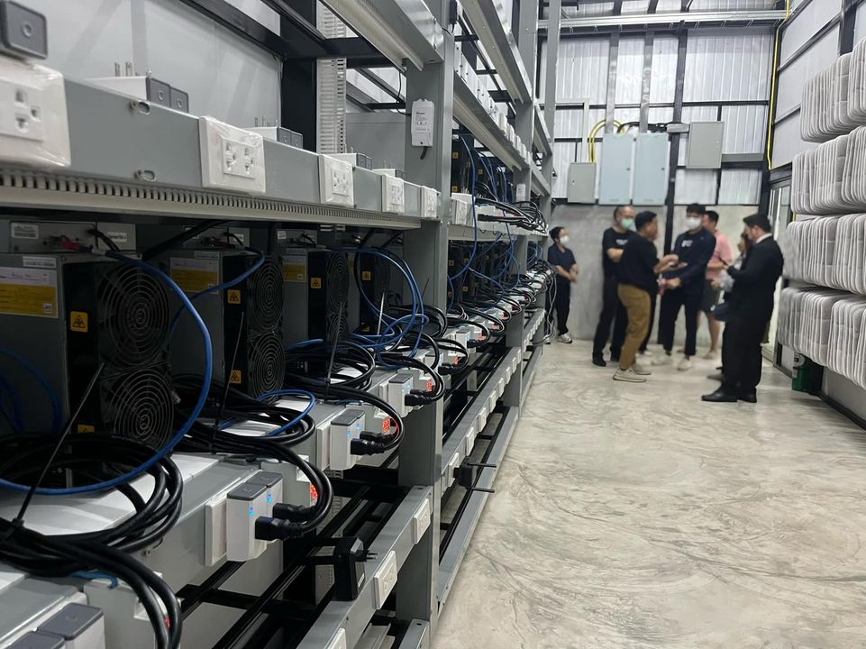 APE META ERROR tweet media